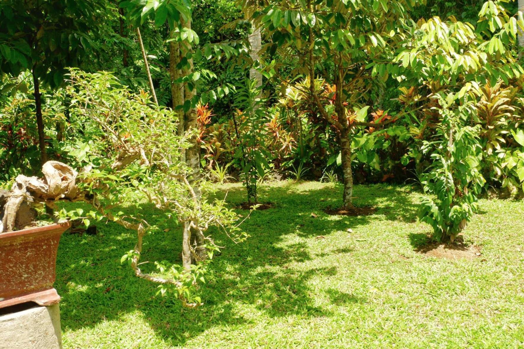 Artja Inn Ubud Eksteriør billede